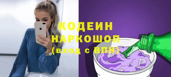 индика Аркадак