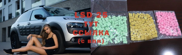 индика Аркадак