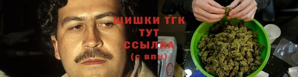 дмт Армянск