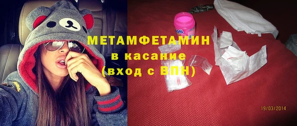 индика Аркадак